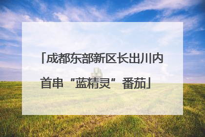 成都东部新区长出川内首串“蓝精灵”番茄
